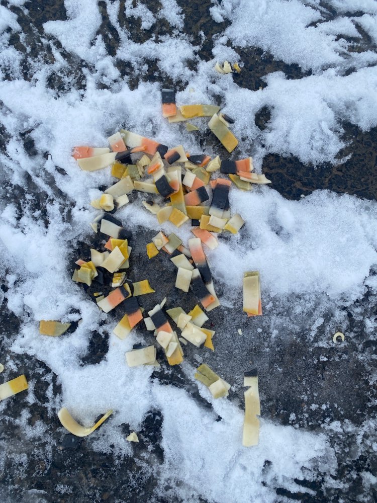 Giftköder-Wahrscheinlich Giftköder-Profilbild