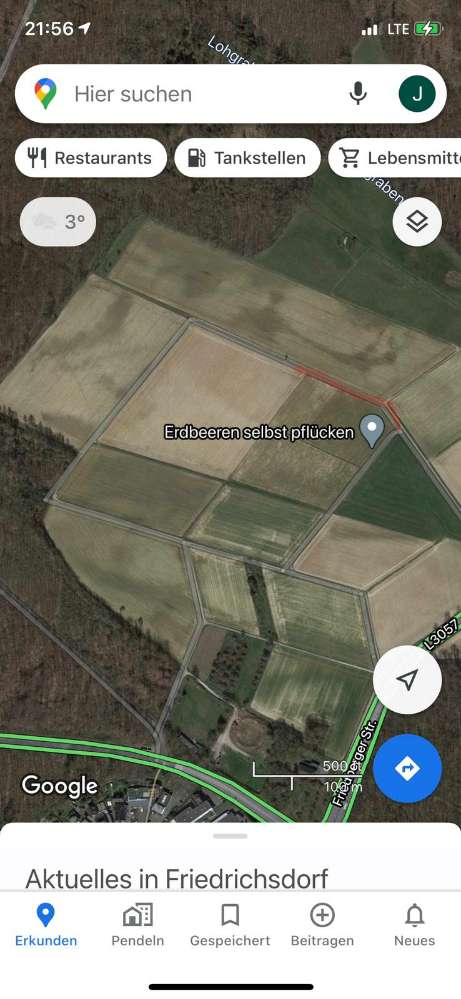 Giftköder-Tüten mit verschimmelten Essen!!-Profilbild