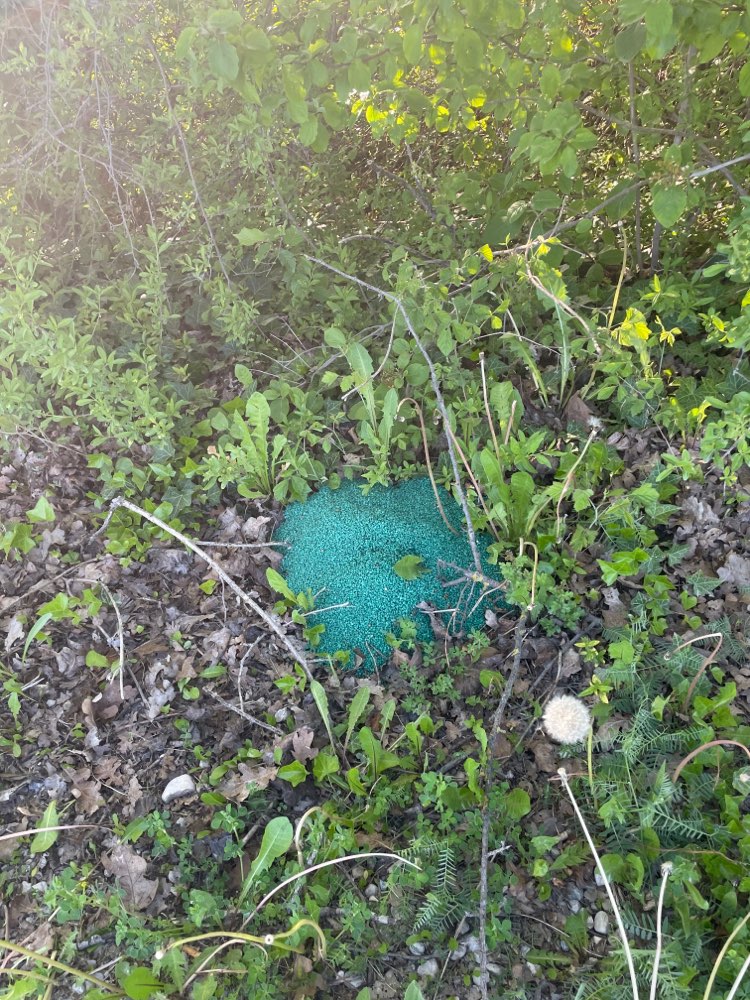 Giftköder-Kübelweise Dünger oder ähnliches-Profilbild