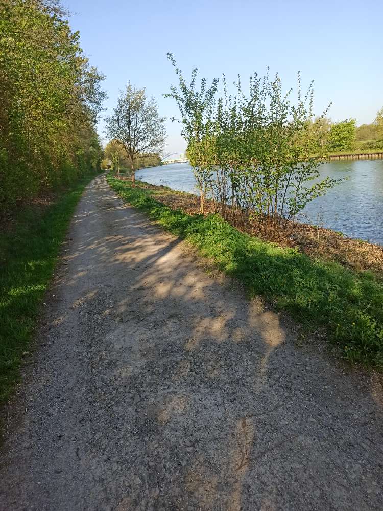 Giftköder-Giftköder Würstchenstücke am Kanal-Profilbild