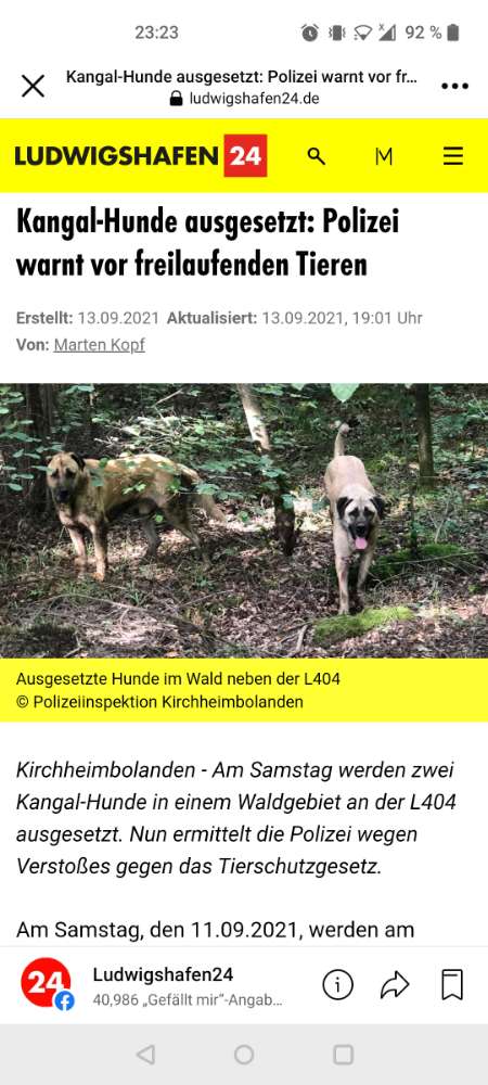 Giftköder-Kangal ausgesetzt-Profilbild