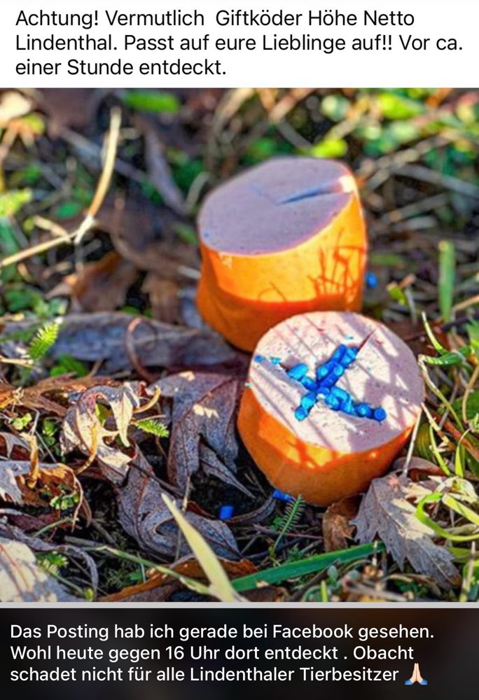 Giftköder-Giftköder-Profilbild