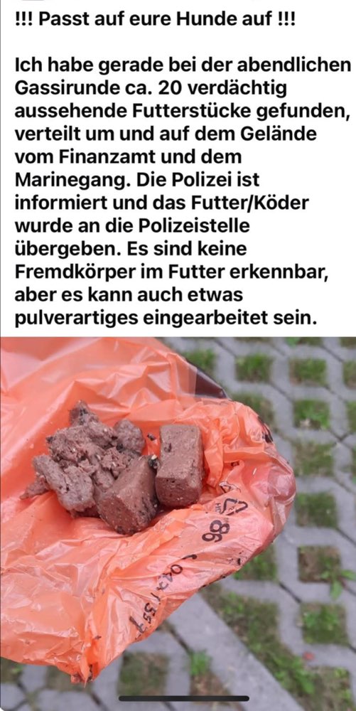 Giftköder-Futter/Köder im Marinegang-Profilbild