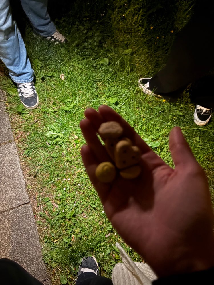 Giftköder-Giftköder-Profilbild