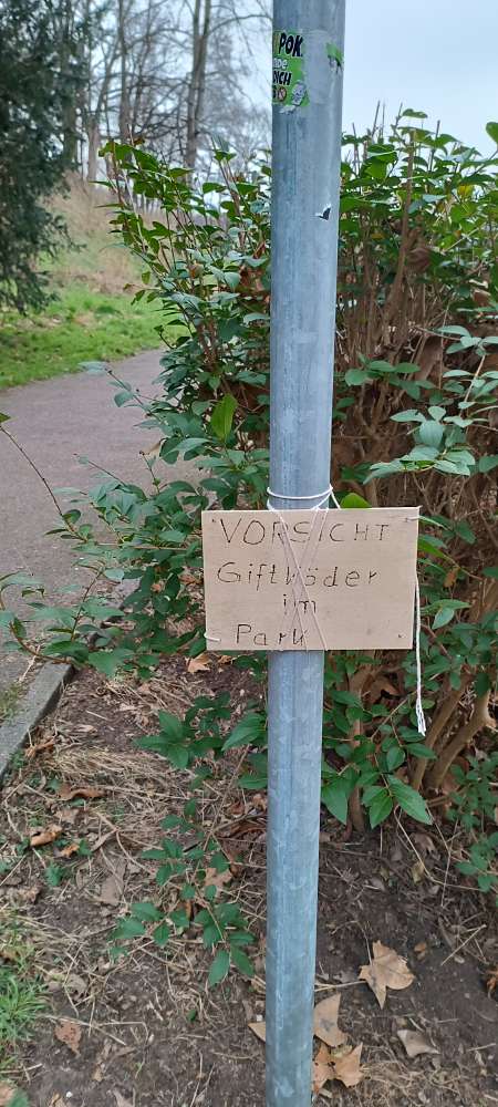 Giftköder-Giftköder-Profilbild