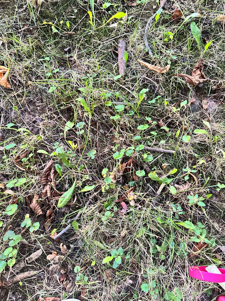 Giftköder-Erneut 6 Köder-Profilbild