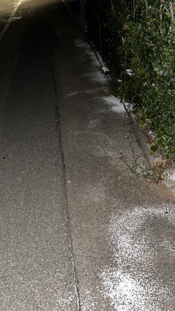 Giftköder-Weißes Pulver - Rattengift?-Profilbild