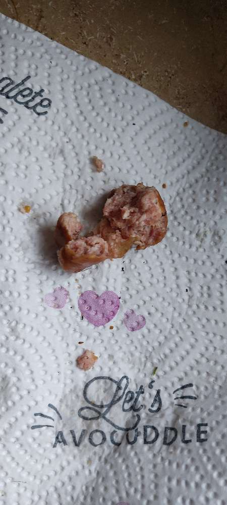 Giftköder-evtl. Giftköder-Profilbild