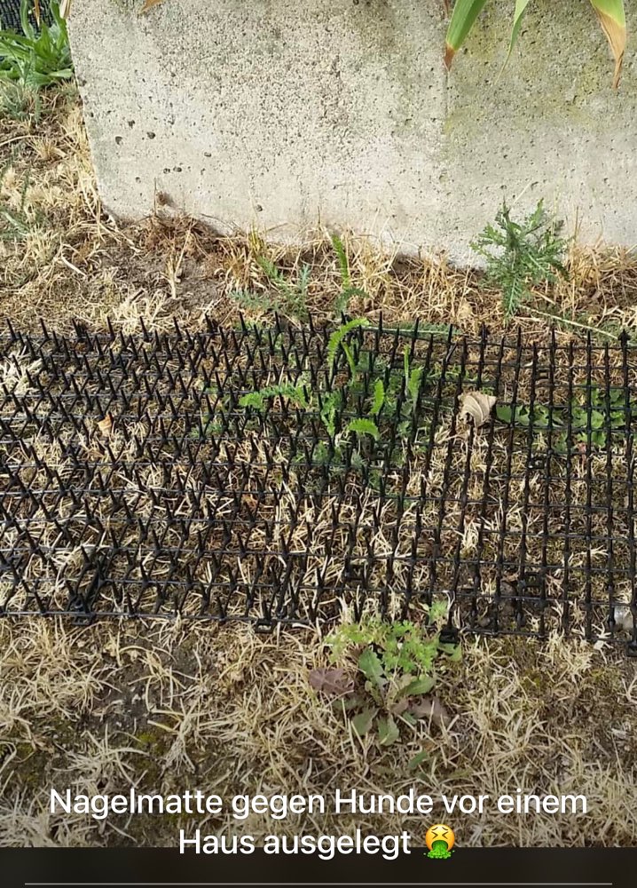 Giftköder-Nagelmatte-Profilbild