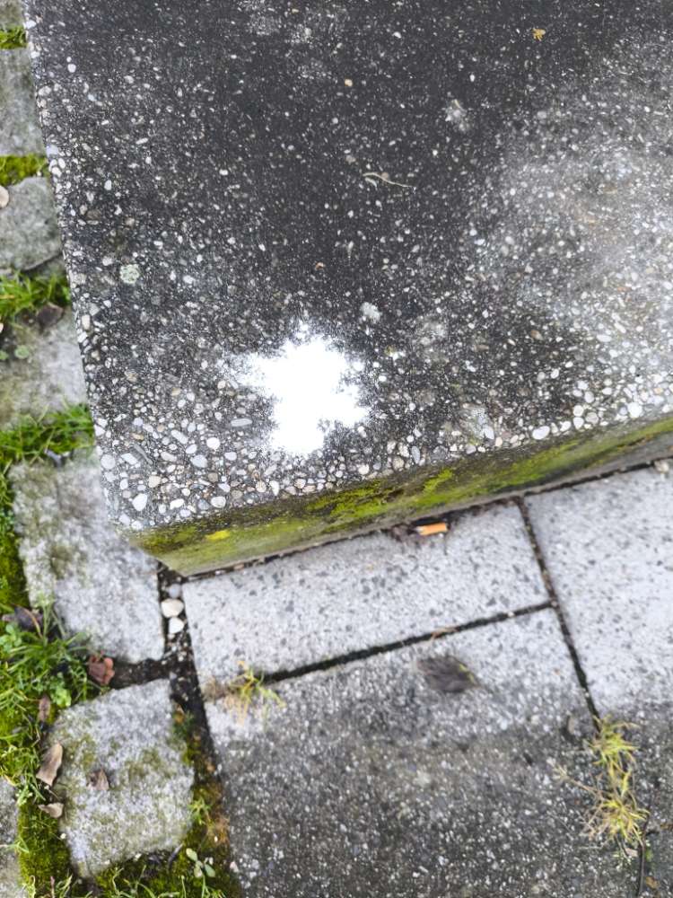 Giftköder-Weißes Pulver-Profilbild