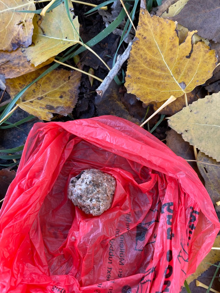 Giftköder-Möglicher Giftköder-Profilbild