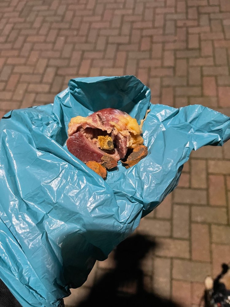 Giftköder-komisches Fleischstück-Profilbild