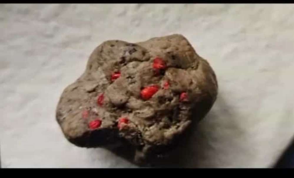 Giftköder-Giftköder-Profilbild