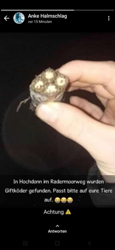 Giftköder-Mögliche Giftköder Radermoorweg-Profilbild