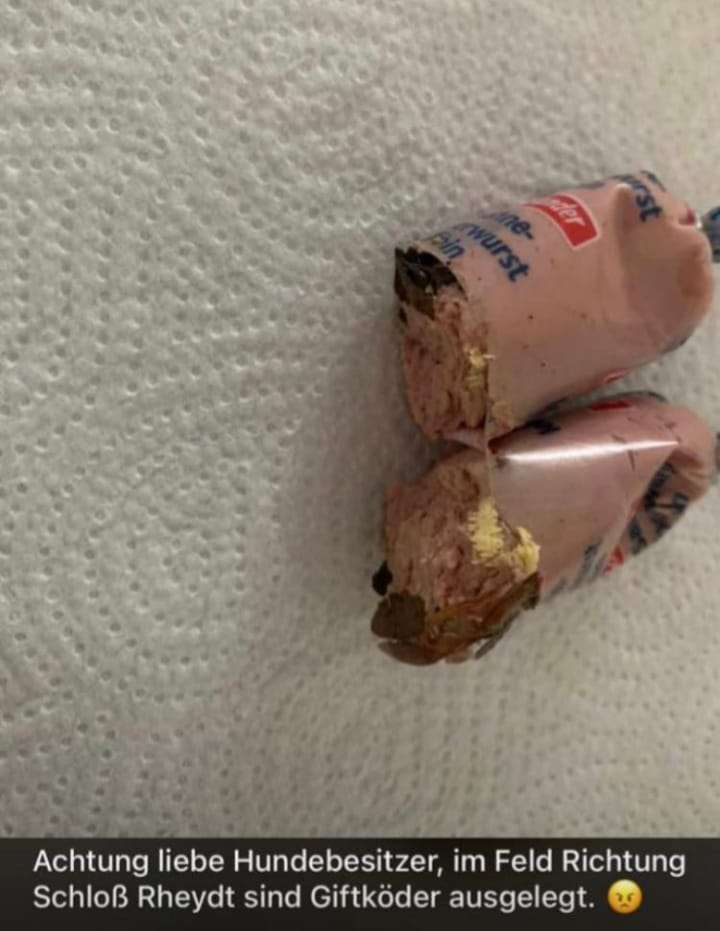 Giftköder-Giftköder in Leberwurst-Profilbild