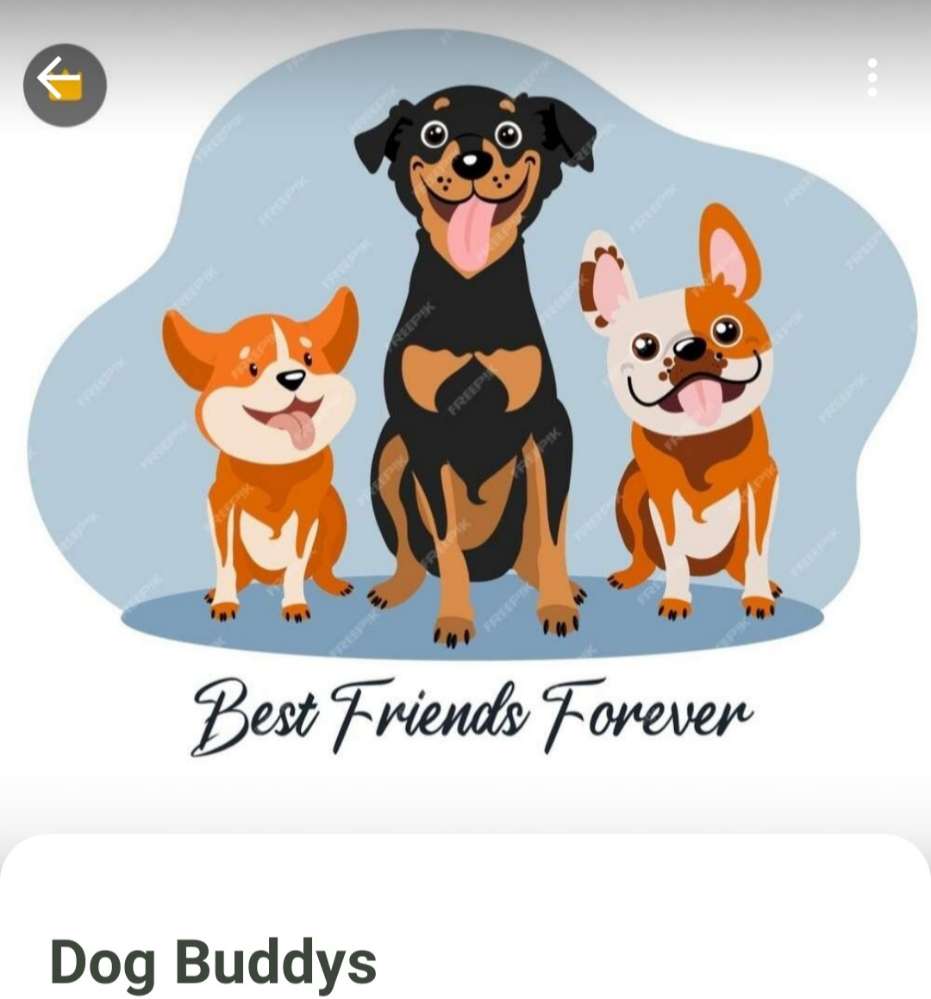 Hundetreffen-Gemeinsame Trainings und Gassirunden-Profilbild