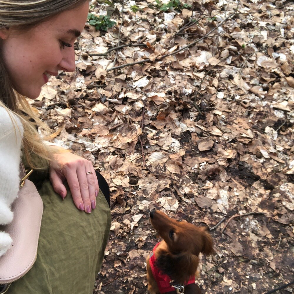 Hundetreffen-Gemeinsame Spaziergänge mit Hündchen und Frauchen-Profilbild