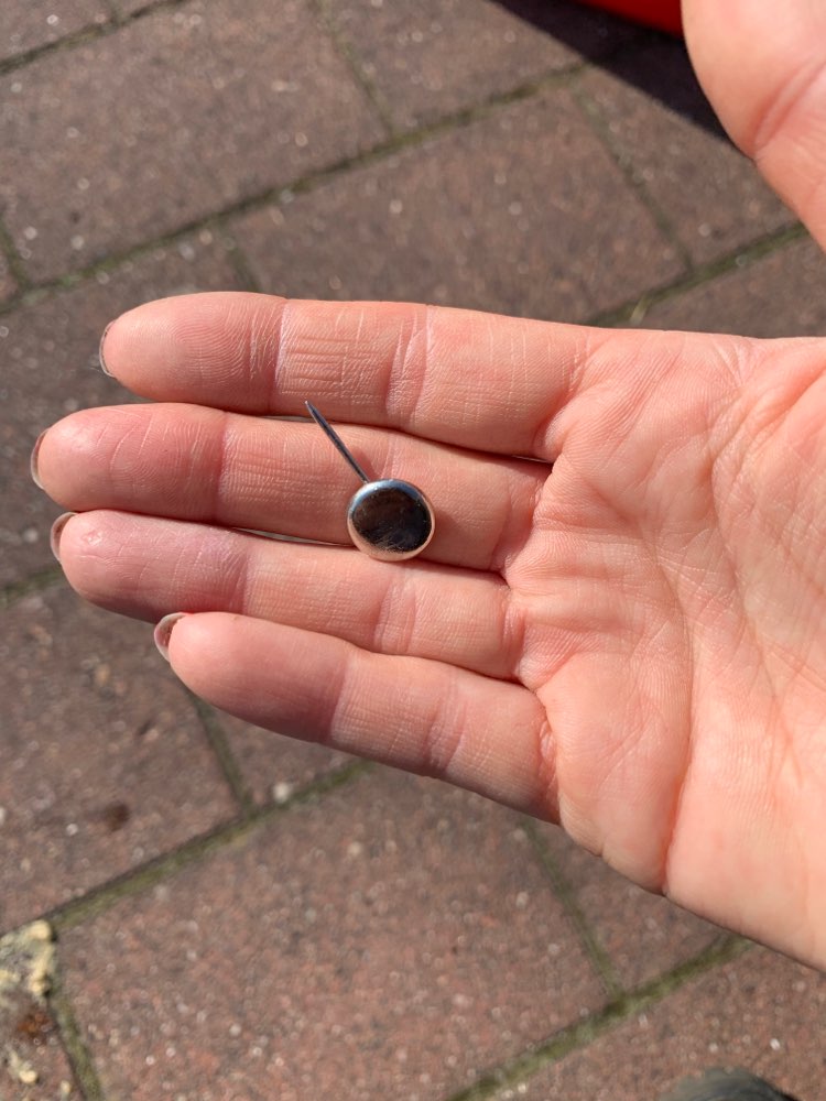 Giftköder-Giftköder in Sülldorf (Op'n Hainholt)-Profilbild