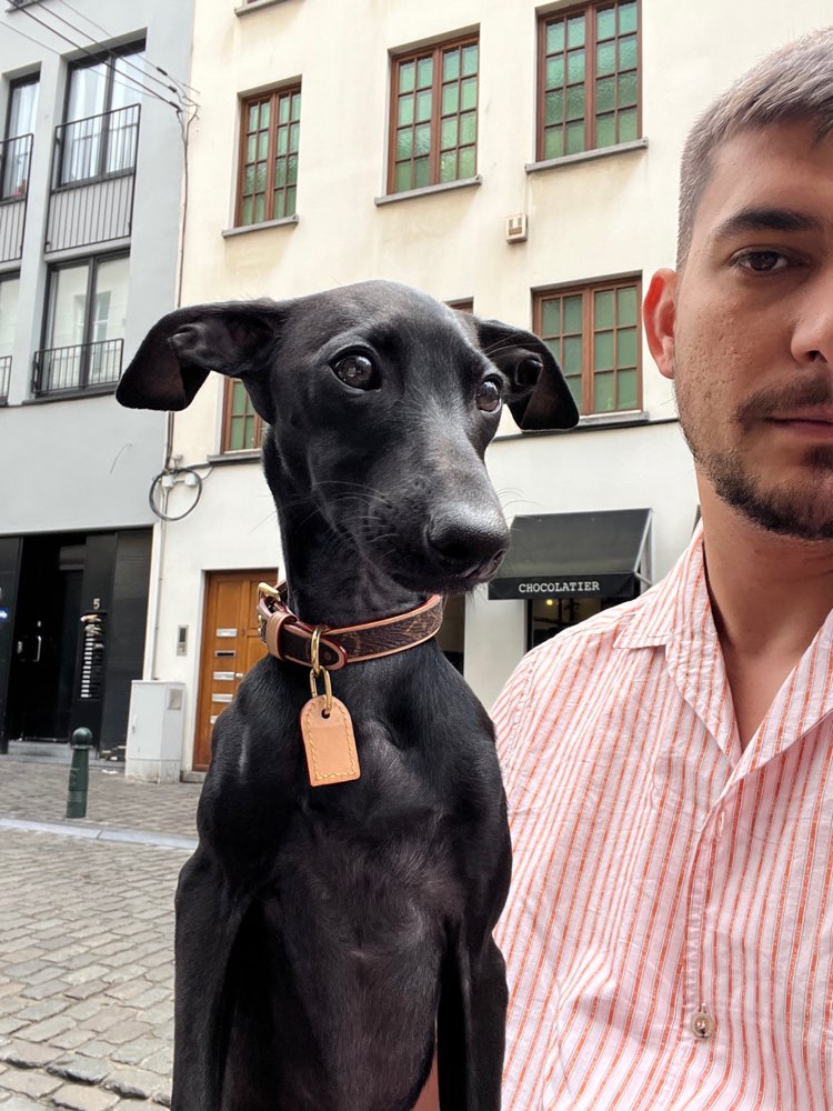 Hundetreffen-Spaziergänge in Stadt Bern-Profilbild