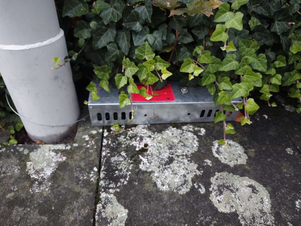 Giftköder-Rattengiftköderboxen-Profilbild