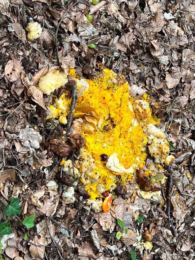 Giftköder-Verdacht auf Giftköder-Profilbild