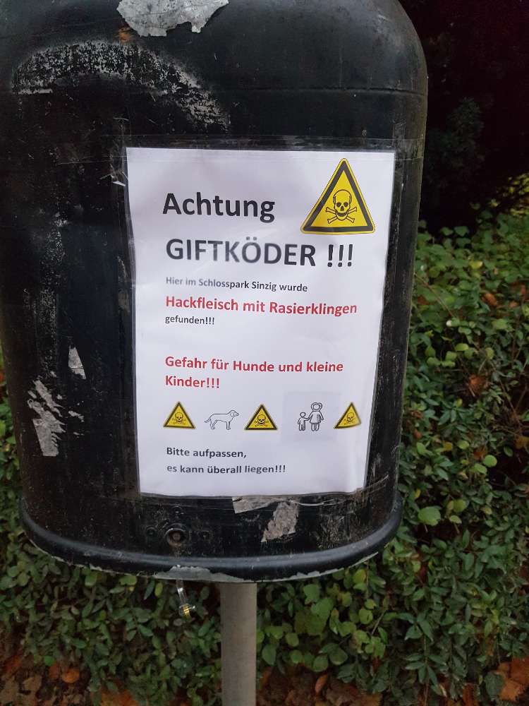 Giftköder-Giftköder-Profilbild