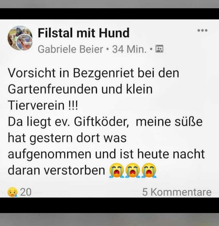 Giftköder-Giftköder-Profilbild