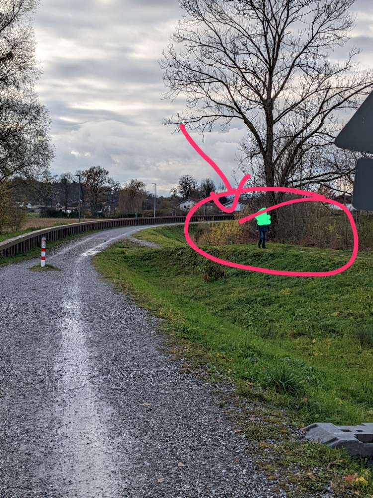 Giftköder-Ggf. Giftköder im Gebüsch-Profilbild