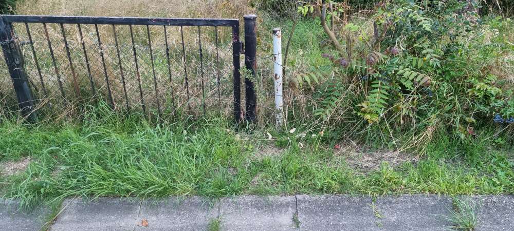 Giftköder-Brot evtl Giftköder-Profilbild