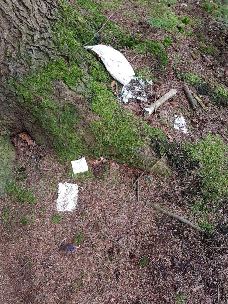 Giftköder-Gift-Profilbild