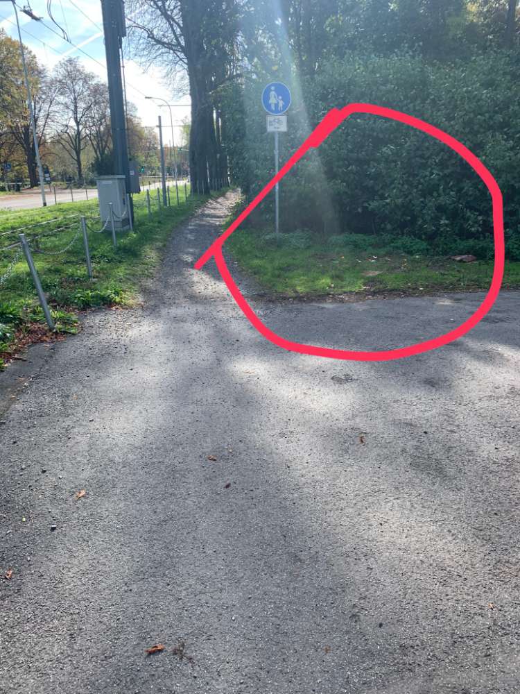 Giftköder-Vermutliche Giftköder-Profilbild