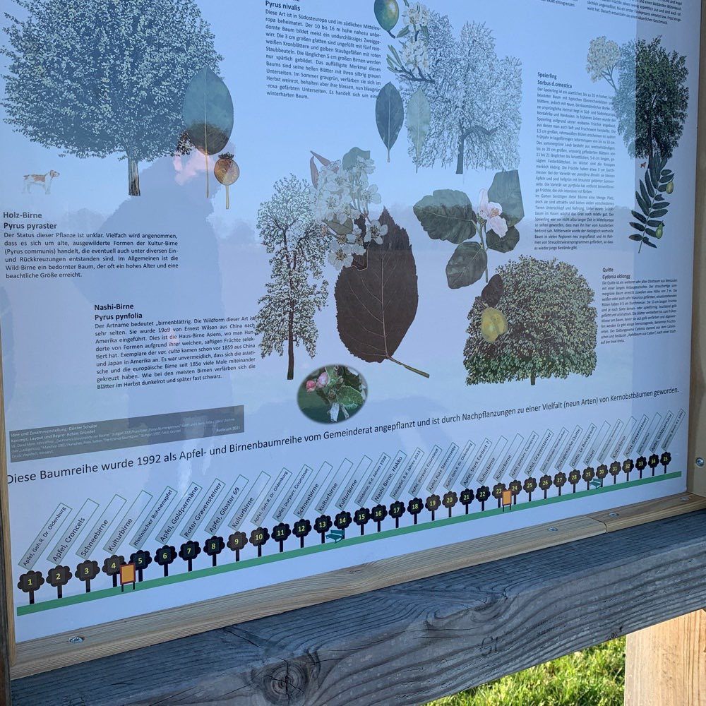 Hundetreffen-Hundetreff in Radbruch-Profilbild