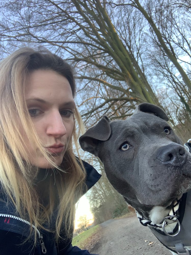 Hundetreffen-Junghunde im Westerwald-Profilbild