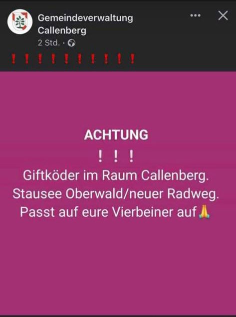 Giftköder-Giftköder-Profilbild