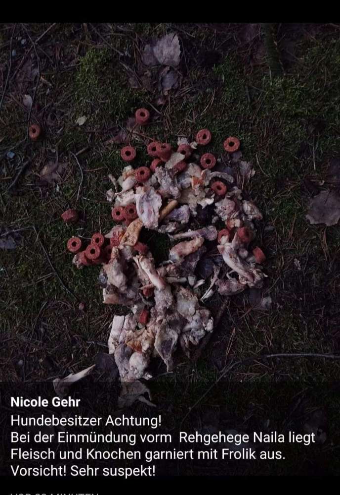 Giftköder-Giftköder-Profilbild