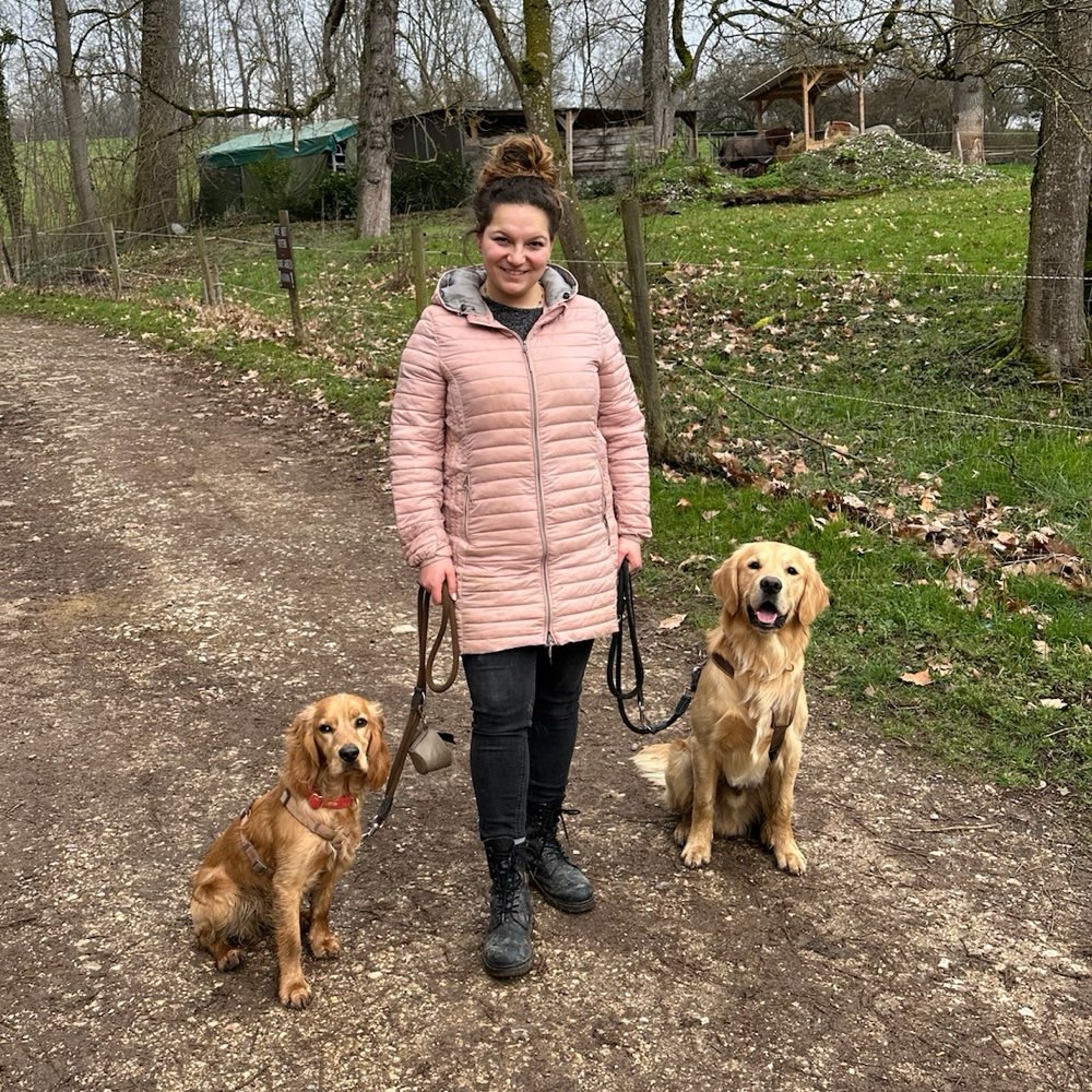 Hundetreffen-Waldspaziergang in Esslingen-Profilbild