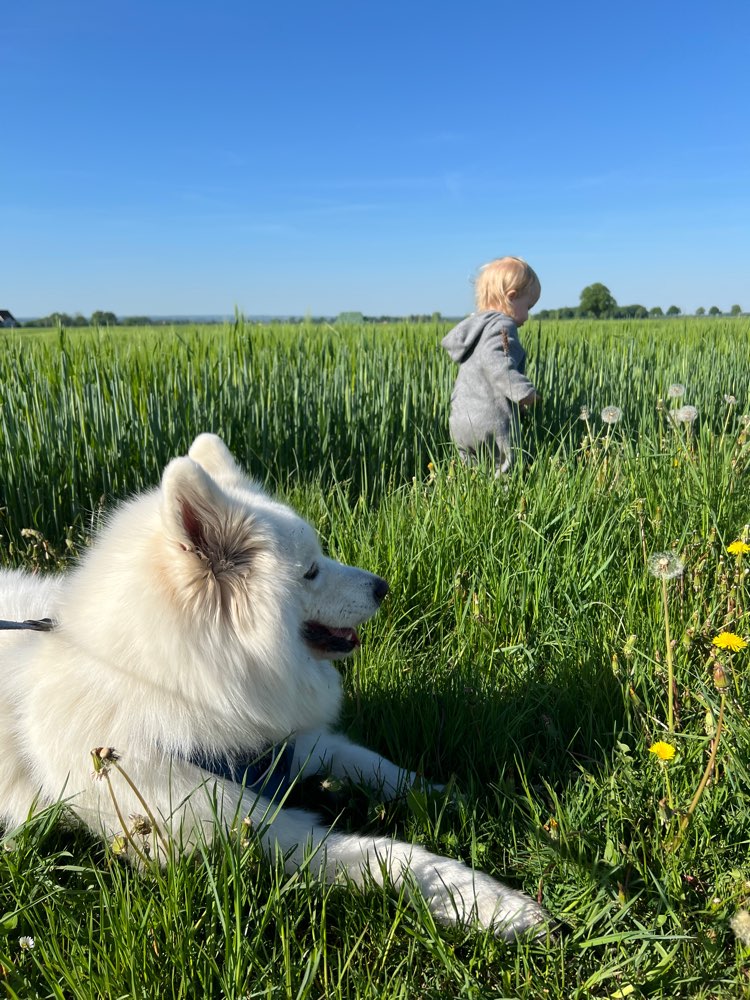 Hundetreffen-Hundespielen gerne auch mit Kind:)-Profilbild