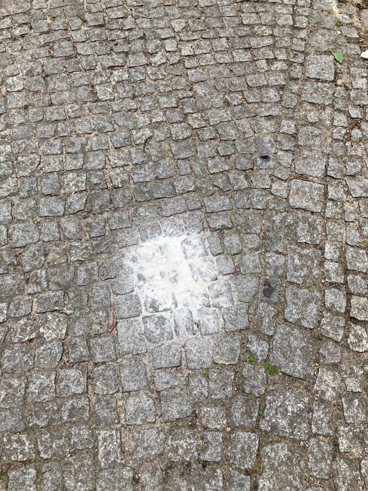 Giftköder-Weißes Pulver-Profilbild