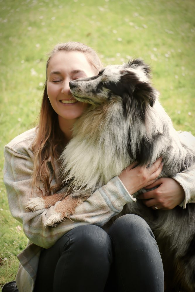 Hundetreffen-(Sheltie) Spielpartner gesucht und ggf. mehr-Profilbild
