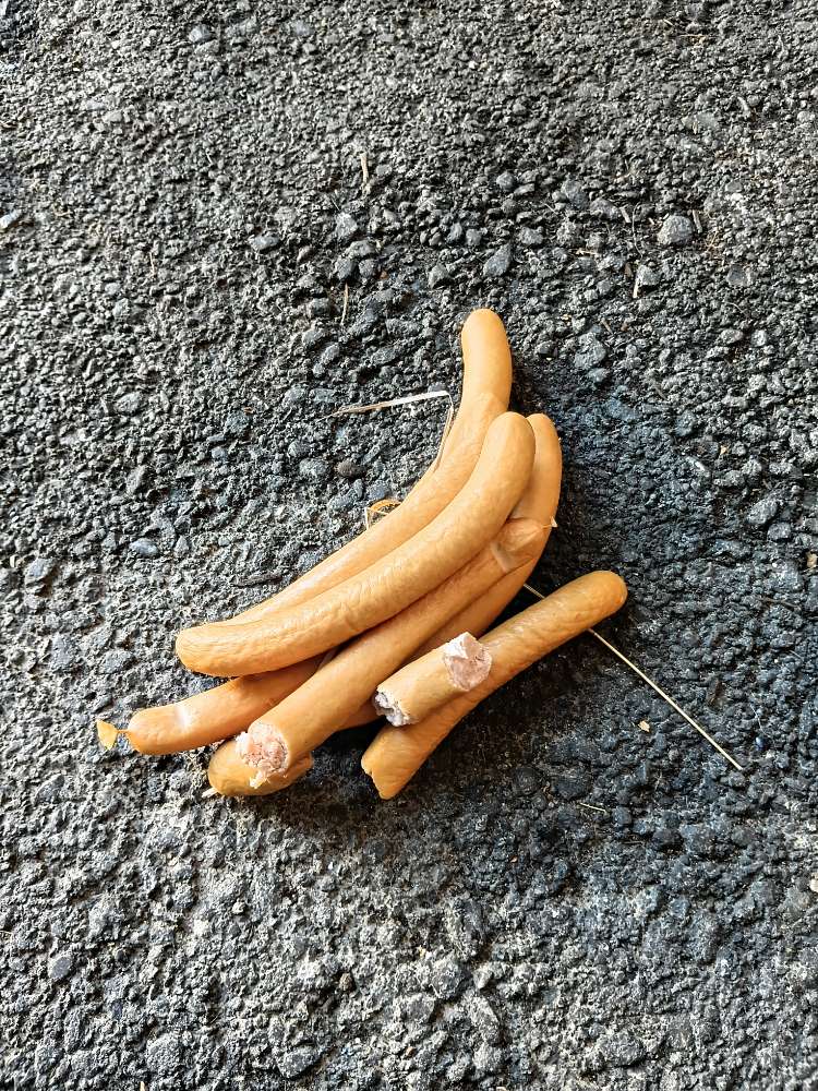 Giftköder-Giftköder Wienerli-Profilbild