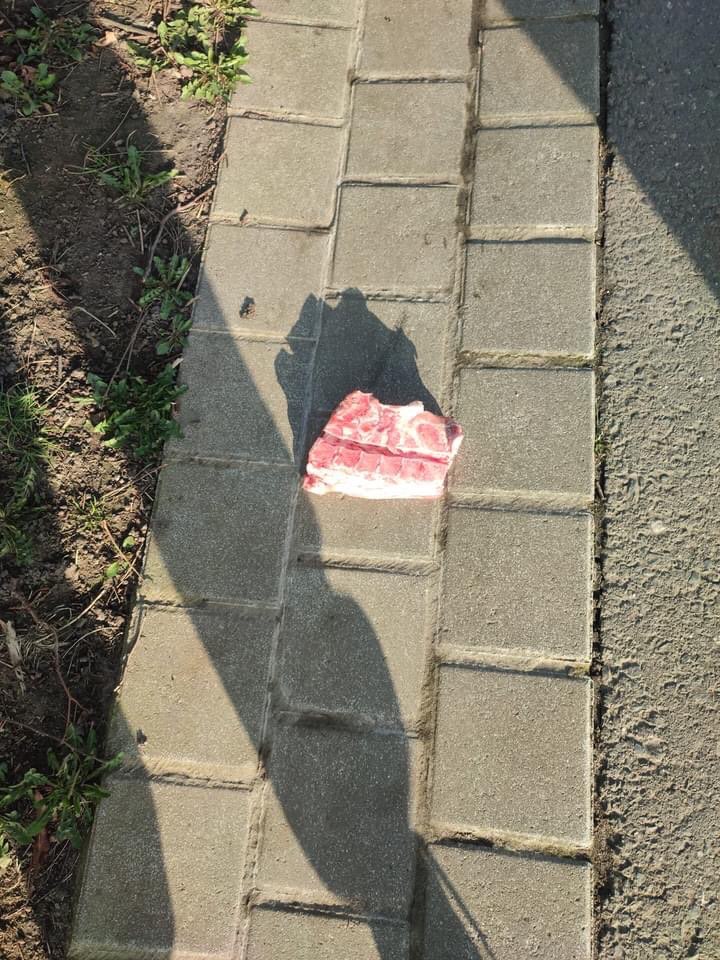 Giftköder-Großes Stück Fleisch-Profilbild