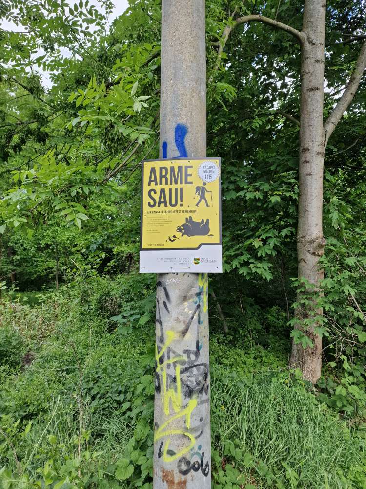 Giftköder-Wildschwein mit Frischlingen!-Profilbild