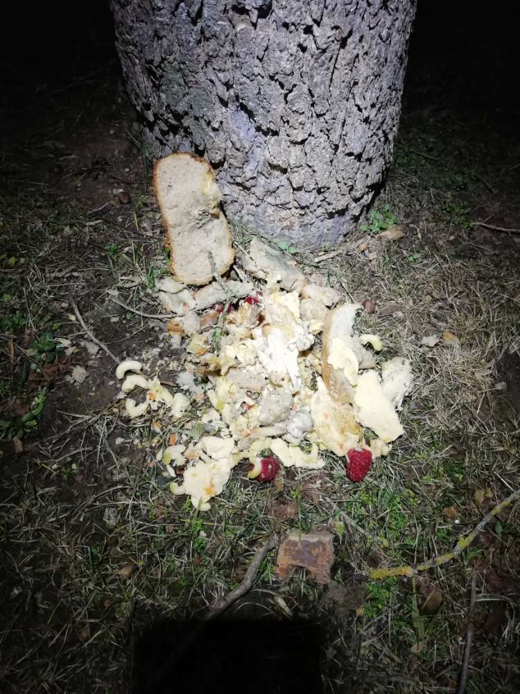 Giftköder-Verdächtige Essensreste am Wegesrand-Profilbild
