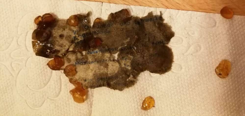 Giftköder-Tütchen mit bernsteinfarbenen Kügelchen-Profilbild