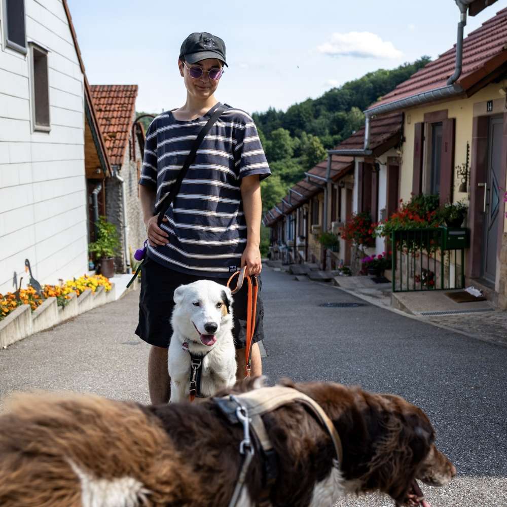 Hundetreffen-Gemeinsame Gassirunden oder Trainingseinheiten :)-Profilbild