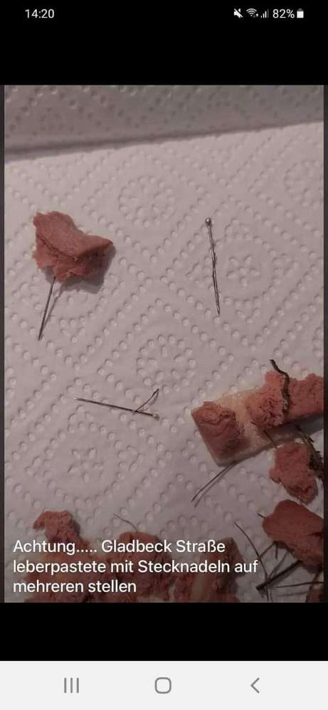 Giftköder-Giftköder gefunden-Profilbild