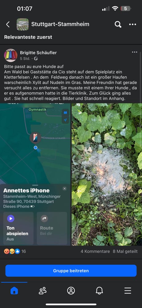 Giftköder-Wahrscheinlich Xylit auf Nudeln im Gras.-Profilbild