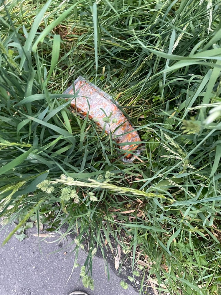 Giftköder-Ggf Giftköder-Profilbild