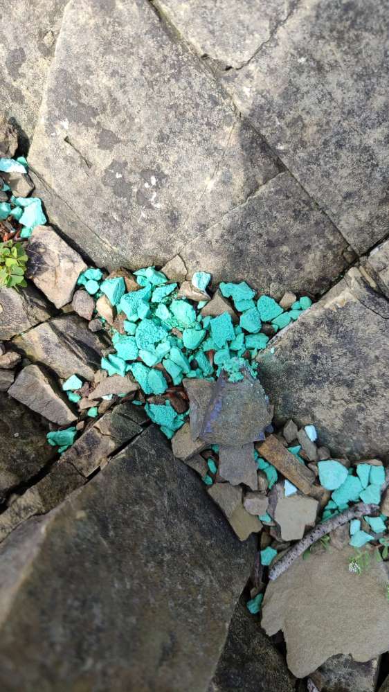 Giftköder-Rattengift?-Profilbild