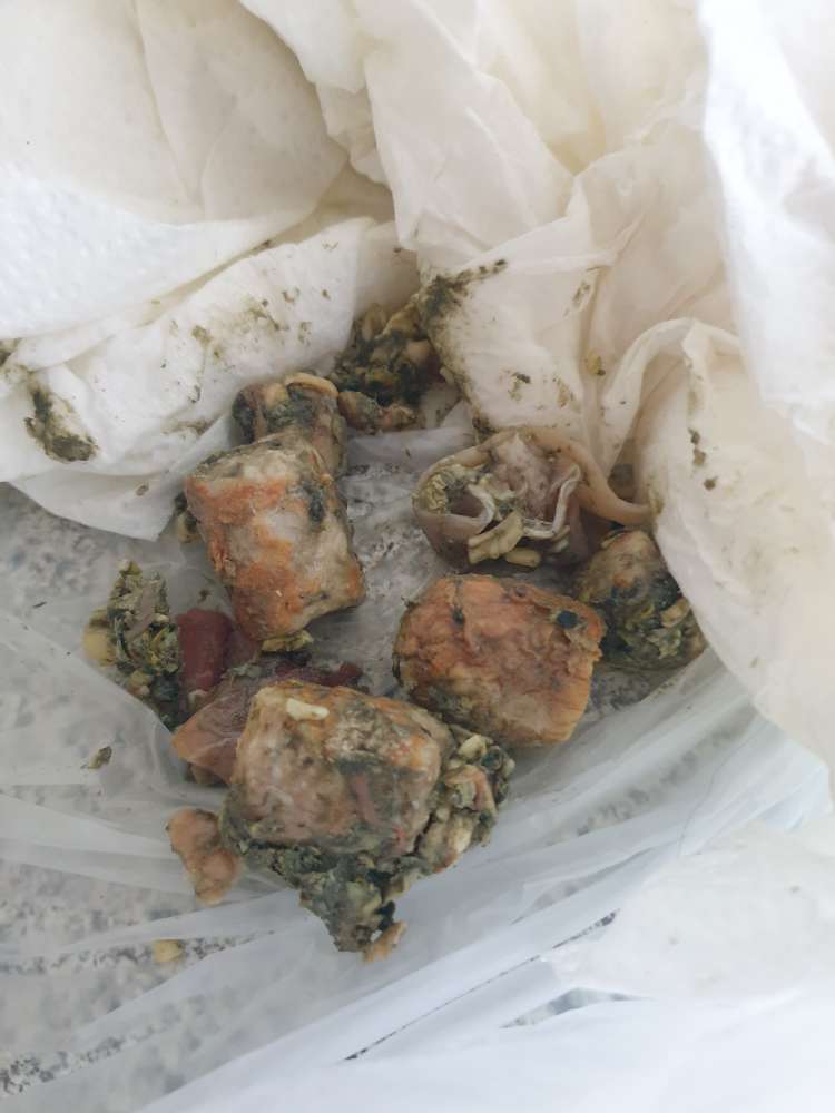 Giftköder-Giftköder an der Hundeauslaufzone-Profilbild